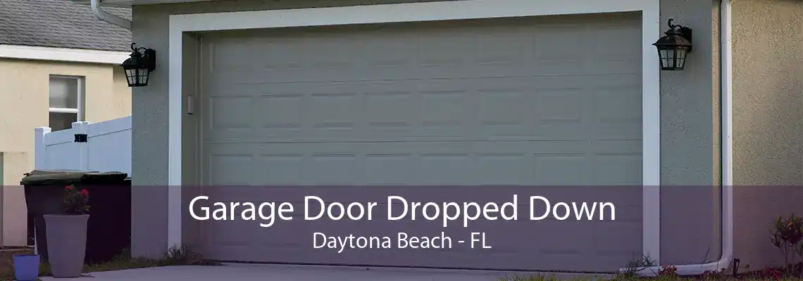 Garage Door Dropped Down Daytona Beach - FL