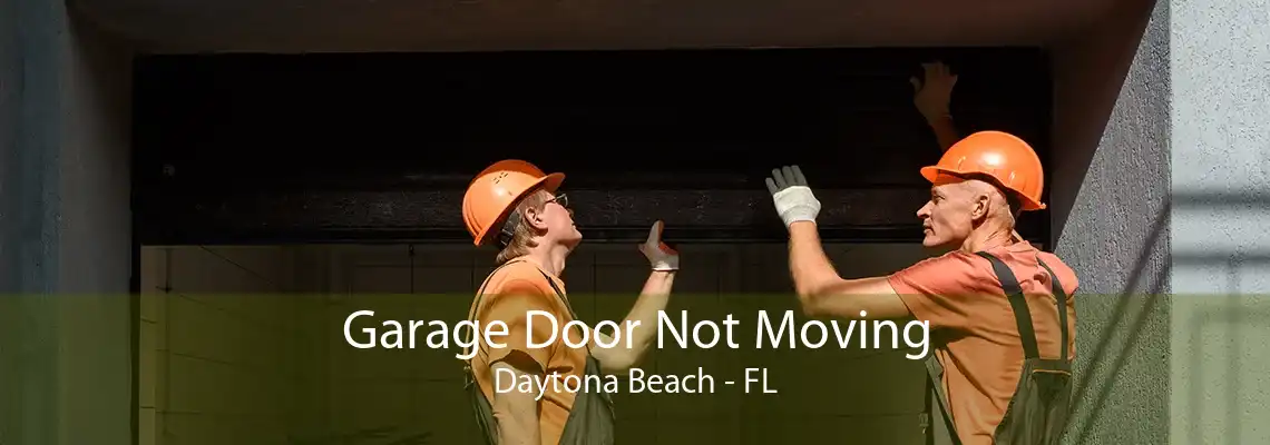 Garage Door Not Moving Daytona Beach - FL